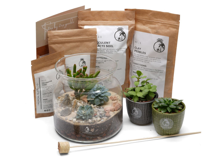 DIY Open Terrarium Kit with Cacti or Succulent Plants | 'Cancun'