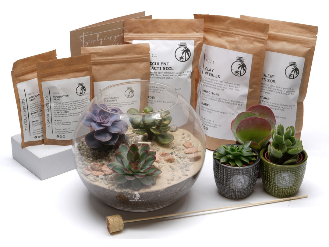 DIY Fishbowl Terrarium Kit | 'Texas'