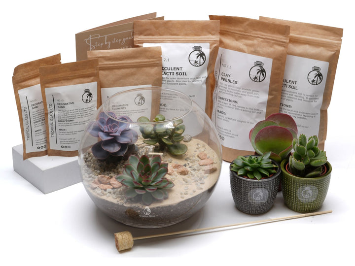 DIY Fishbowl Terrarium Kit | 'Texas'