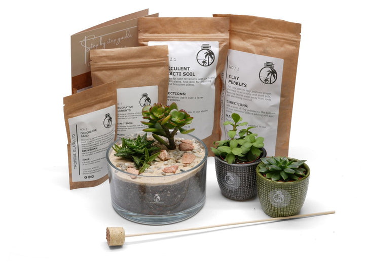 Make your Own Open Terrarium Kit | 'Chania'