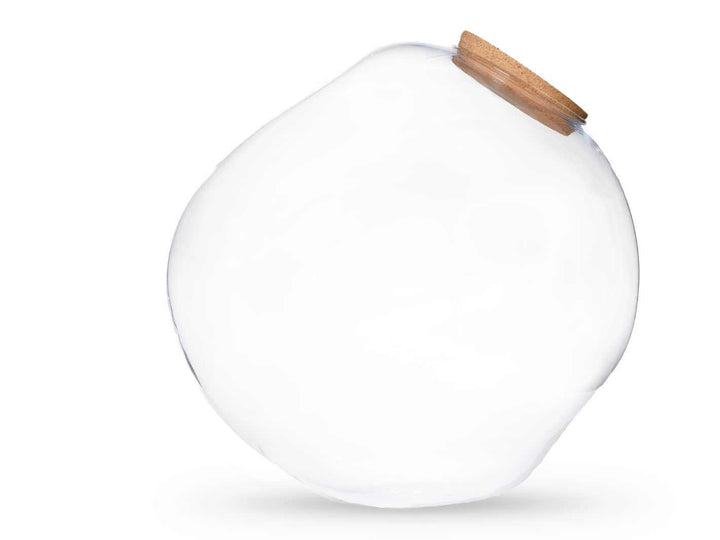 Blob Sphere Terrarium Jar | Unique Shape | H: 30 cm