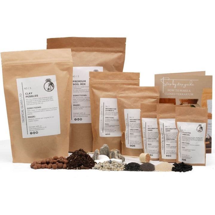 Ficus Bonsai Terrarium DIY Kit H: 37 cm |  'Taipei'