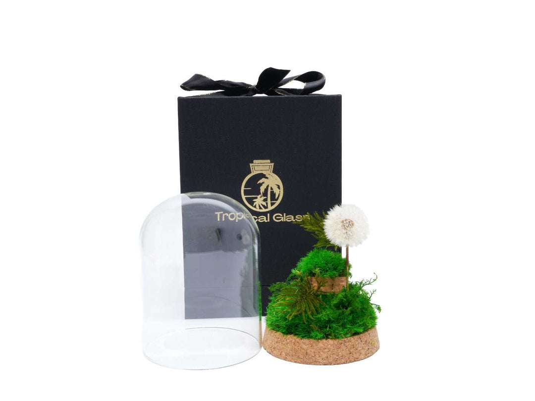 Elegant glass dome terrarium featuring vibrant preserved moss