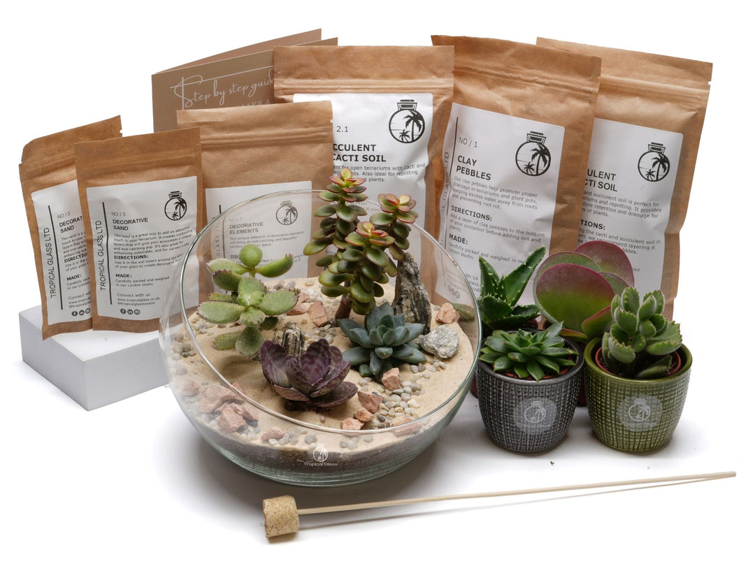 Open DIY Plant Terrarium Kit | 'Acapulco'