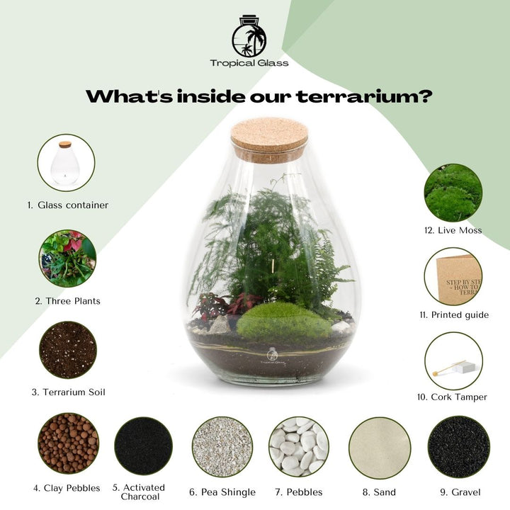 Closed Terrarium Kit DIY H: 37 cm | 'Zurich'