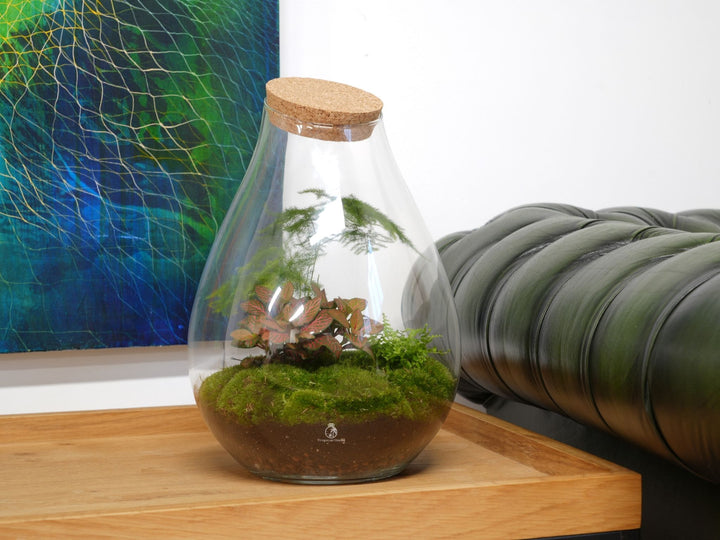 Planted terrarium with plants