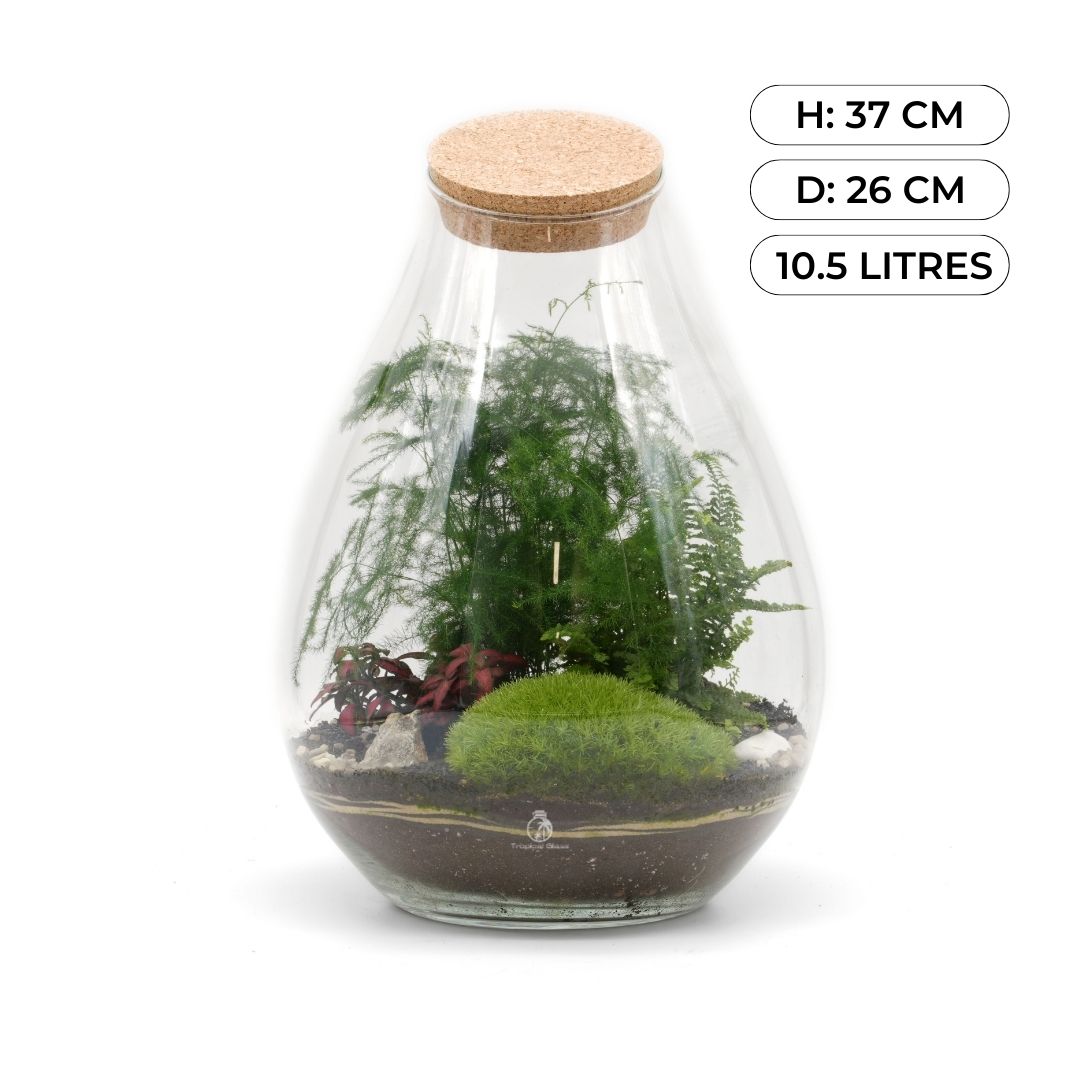 Closed Terrarium Kit DIY H: 37 cm | 'Zurich'