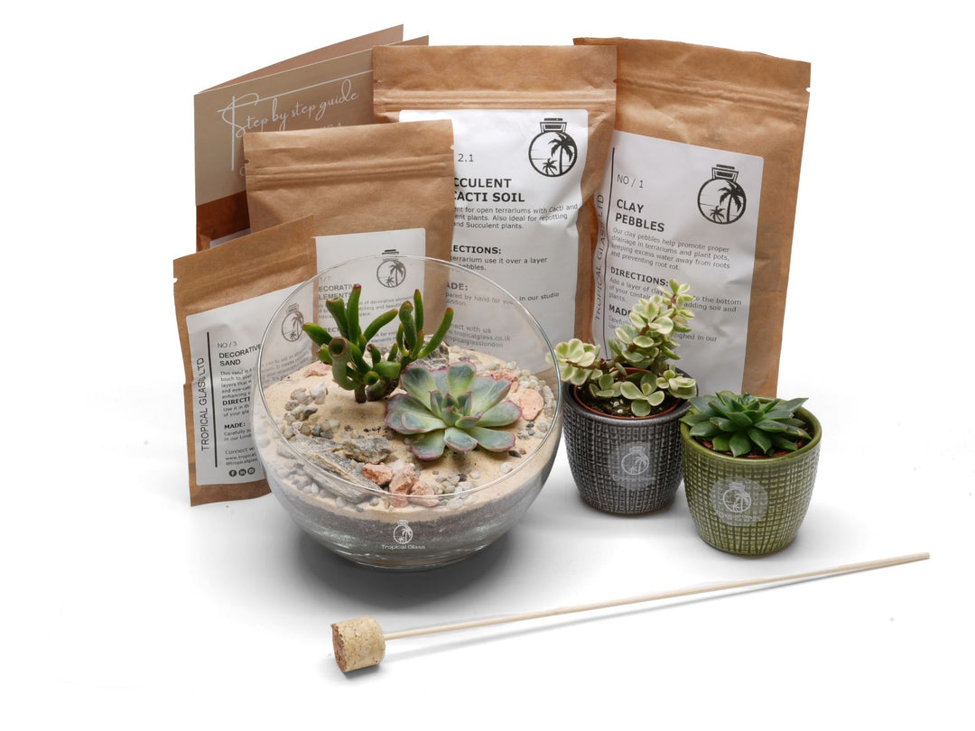 Desert Terrarium with Succulents or Cacti | 'Sinaloa'