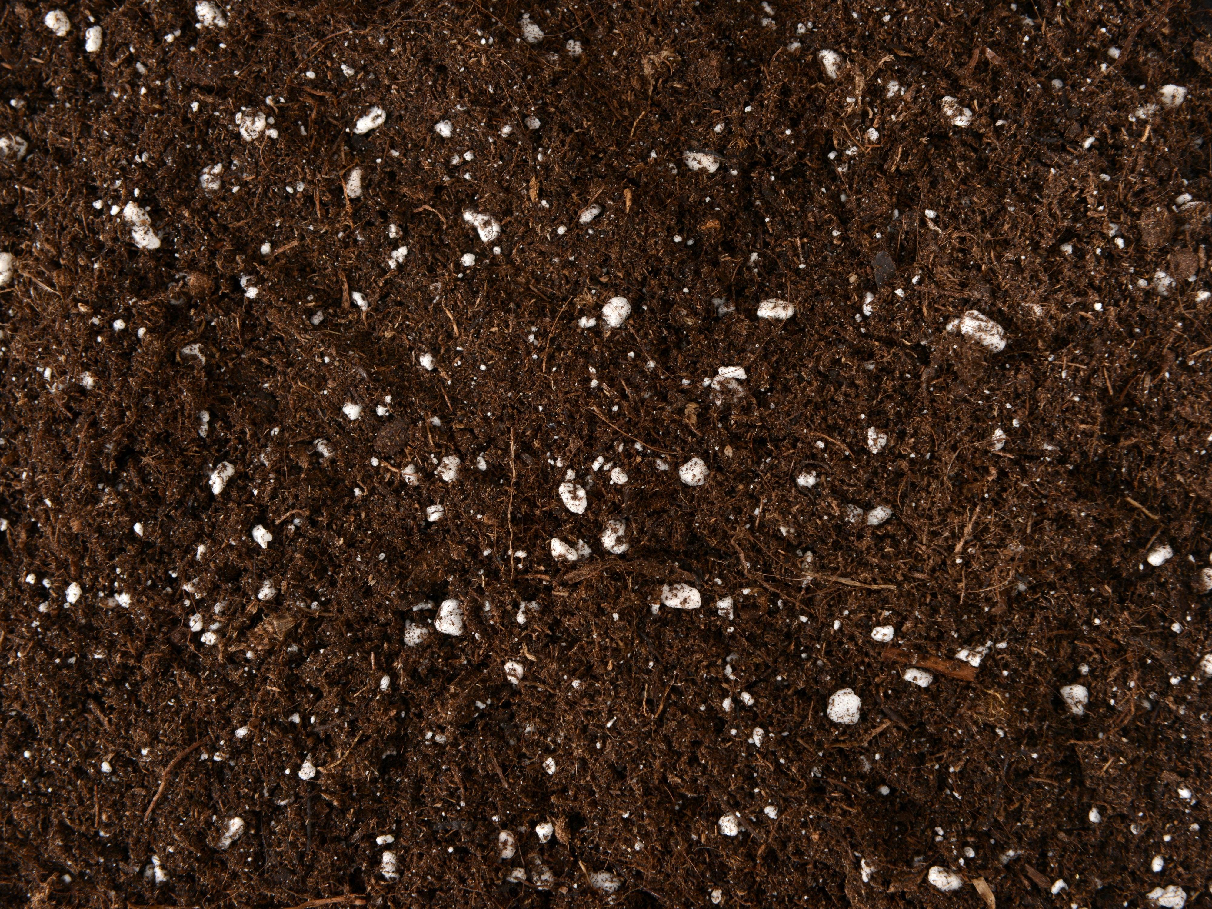 Substrate mix for terrariums (Soil mix for terrariums) 
