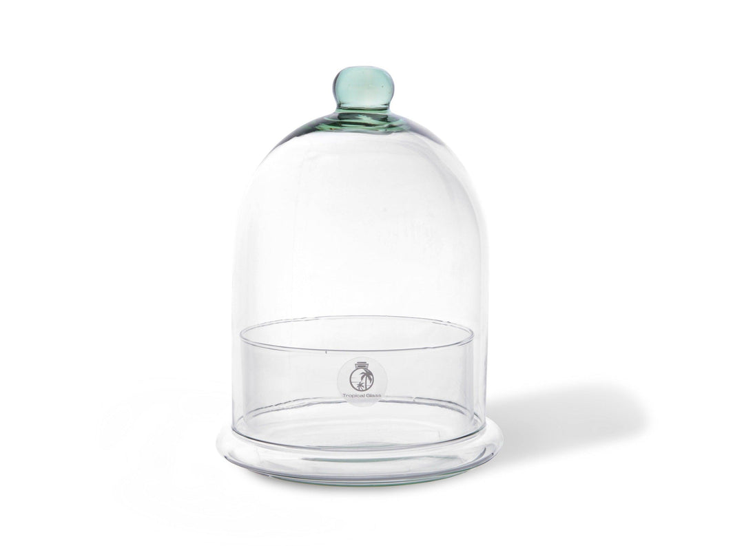 Dome Terrarium Glass Container | 25 cm - Tropical Glass