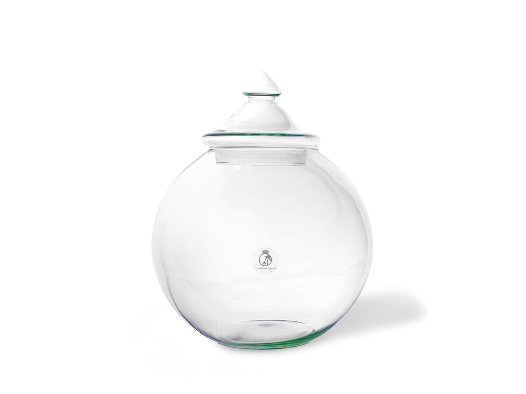 Closed Terrarium Kit DIY  | 'Florence' - Tropical Glass