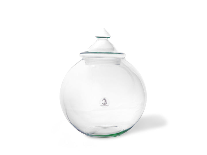 Closed Terrarium Kit DIY  | 'Florence' - Tropical Glass