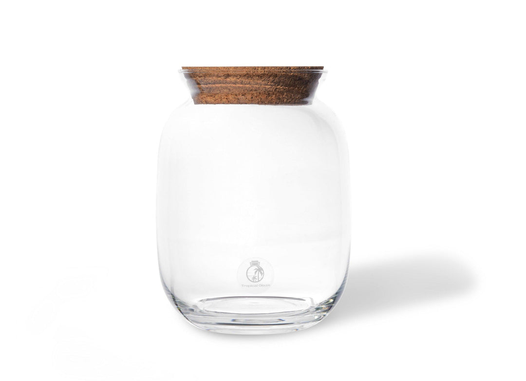Closed Terrarium Jar 22cm with Cork Lid | Balloon Shape Container | Handmade - Tropical Glass