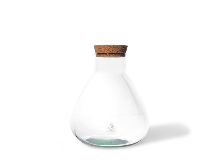 DIY Glass Terrarium 'Lima' with Jar | 24 cm - Tropical Glass