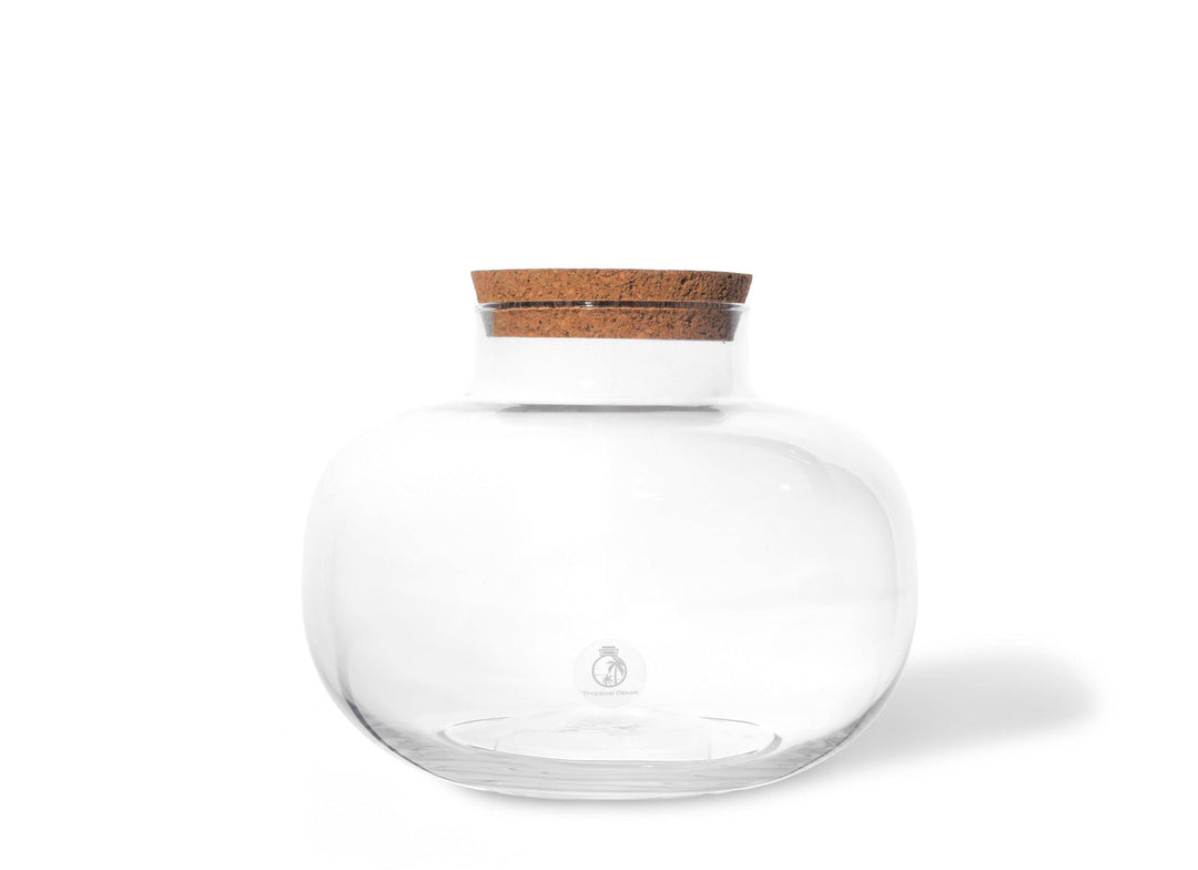 Glass Terrarium 22cm with Cork Lid | Handmade - Tropical Glass