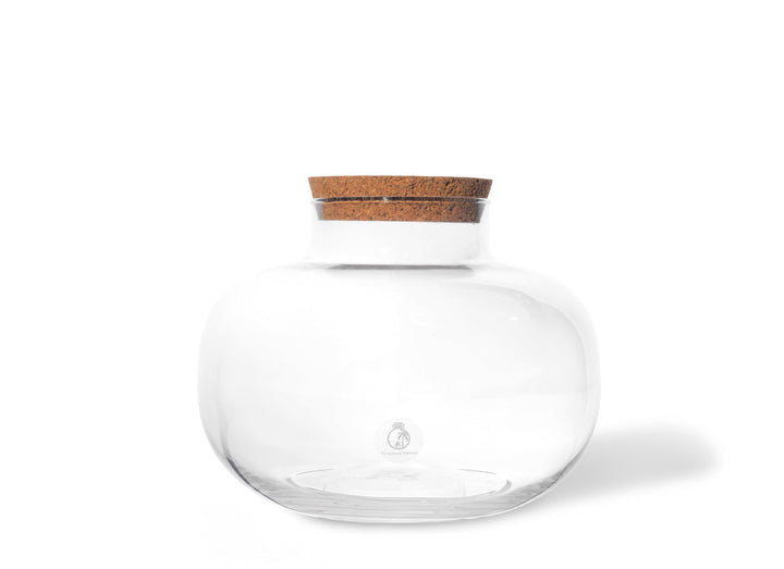 Glass Terrarium 22cm with Cork Lid | Handmade - Tropical Glass