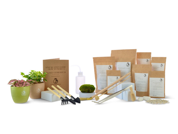 Closed Terrarium Jar 22cm with Cork Lid | Balloon Shape Container | Handmade - Tropical Glass