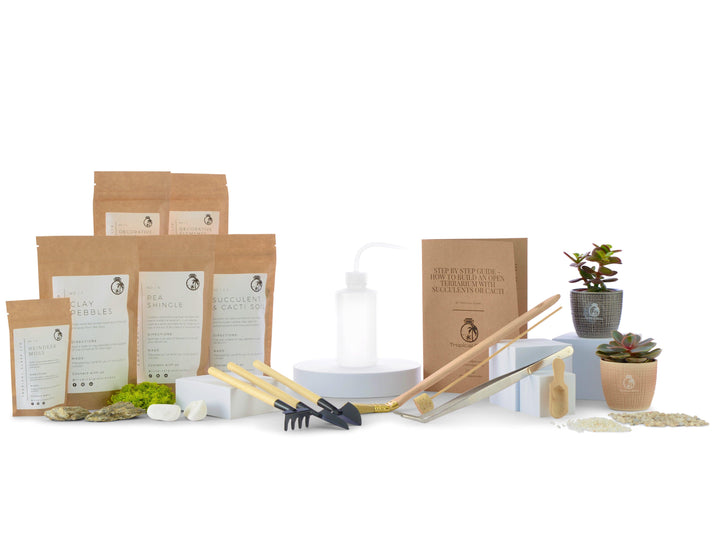 DIY Medium Terrarium Starter Kit for Succulents and Cacti | Suitable for Jar with a diameter  from 10cm to 15 cm. - Tropical Glass