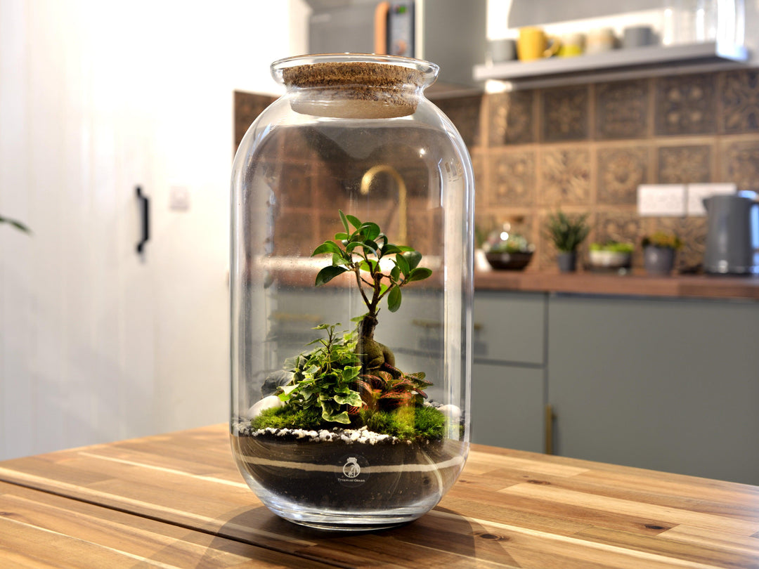 Glass Terrarium Jar 42 cm with Cork Lid | Tall Container | Handmade - Tropical Glass