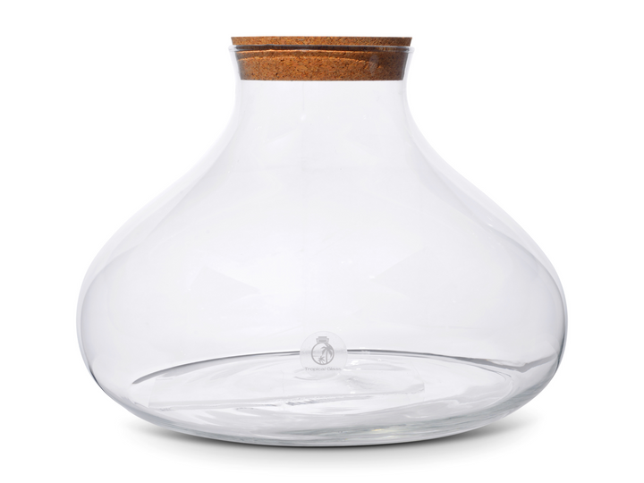 pristine empty glass terrarium