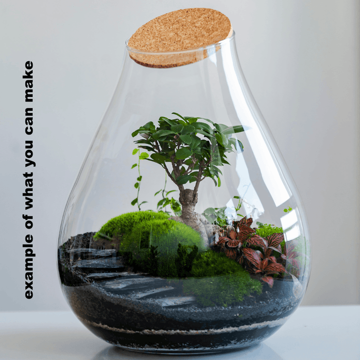 Terrarium Glass XXL 43 cm with Cork Lid | Teardrop Shape | Handmade - Tropical Glass