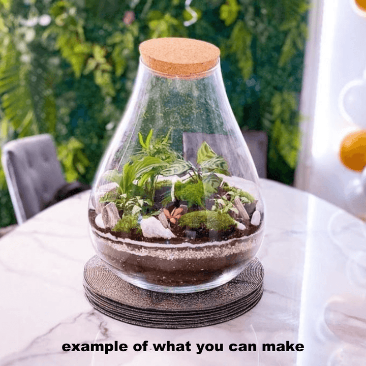 Terrarium Glass XXL 43 cm with Cork Lid | Teardrop Shape | Handmade - Tropical Glass