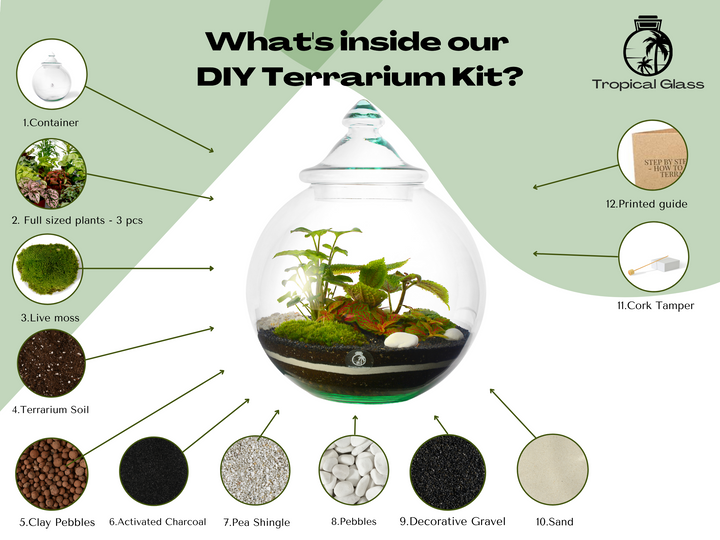 Closed Terrarium Kit DIY H: 30 cm | 'Florence'