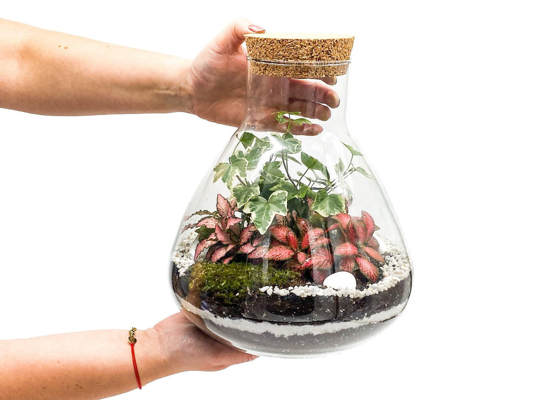 DIY Glass Terrarium 'Lima' with Jar | 24 cm - Tropical Glass