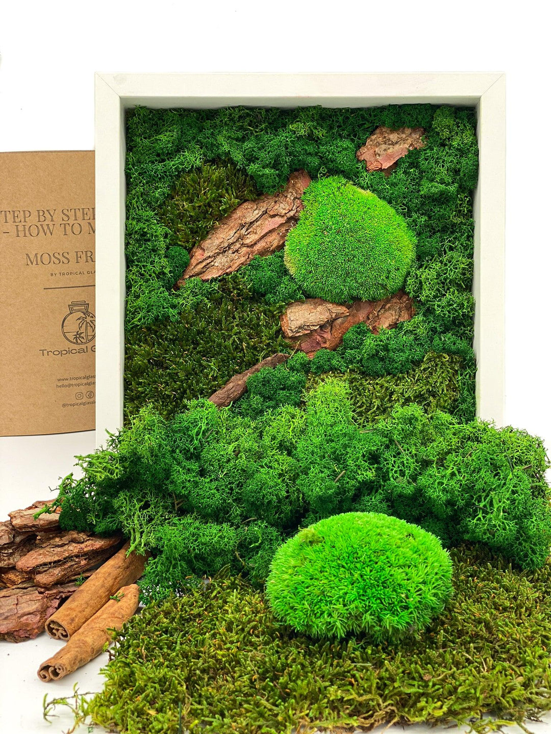 DIY Moss Wall Art | Large - Tropical Glass