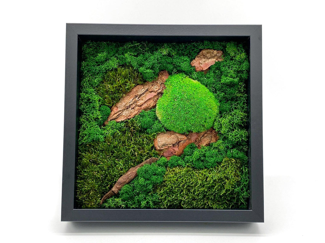 DIY Moss Wall Art | Large - Tropical Glass
