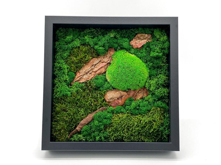DIY Moss Wall Art | Large - Tropical Glass