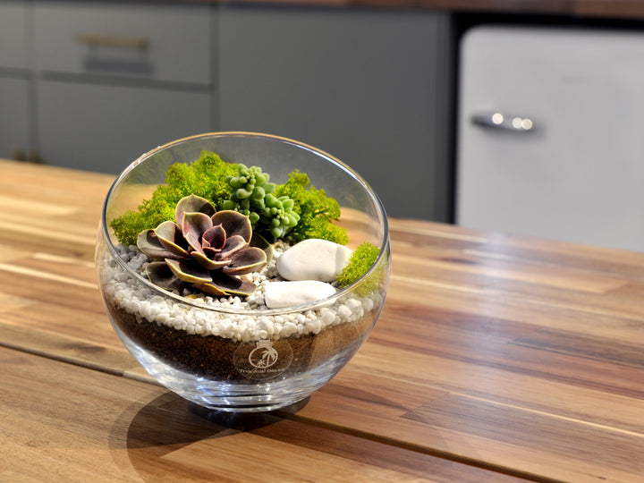 Angled Glass Bowl | H 13 cm - Tropical Glass