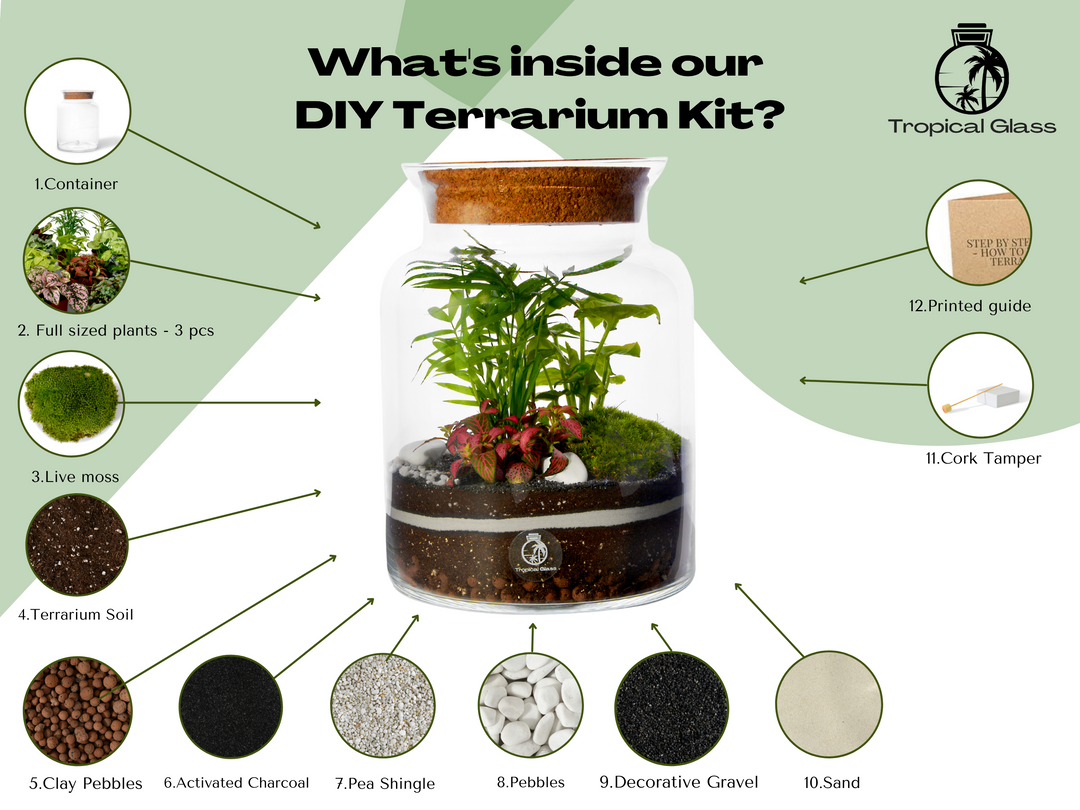 Closed DIY Terrarium Kit with 25 cm Container, Plants and Decorations  | 'Mallorca'