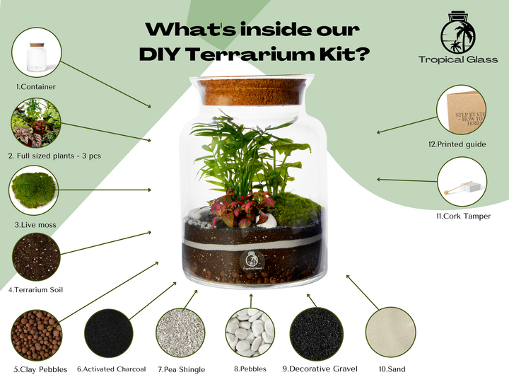 Closed DIY Terrarium Kit with 25 cm Container and Plants | 'Mallorca'