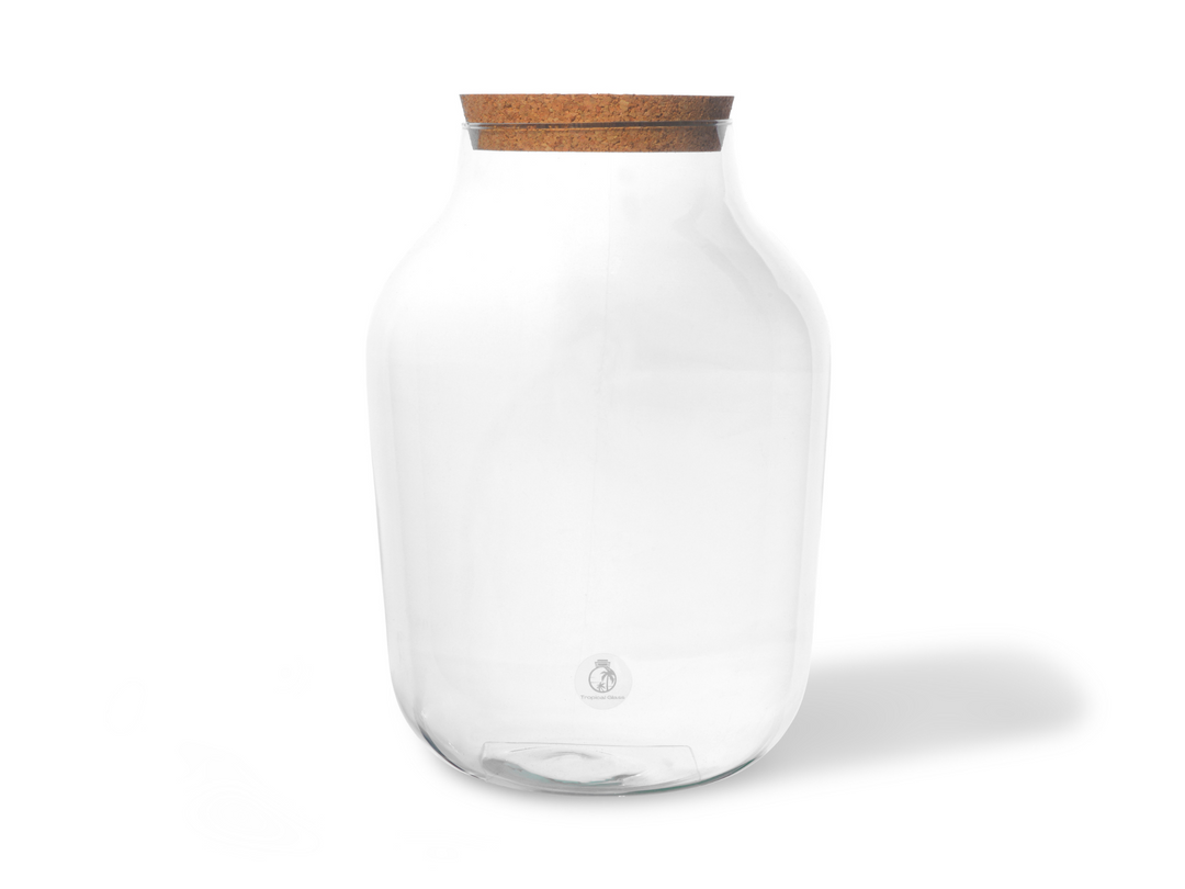 Glass Container with Defects