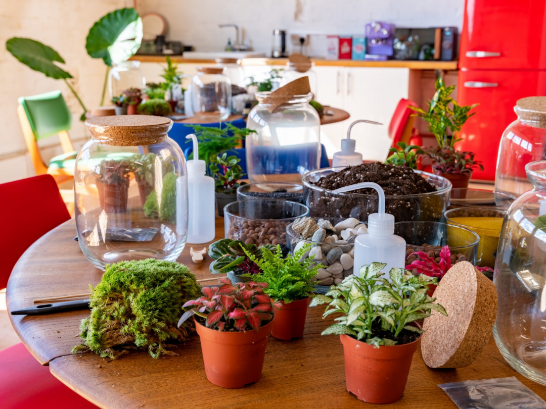 Materials provided for a London terrarium workshop