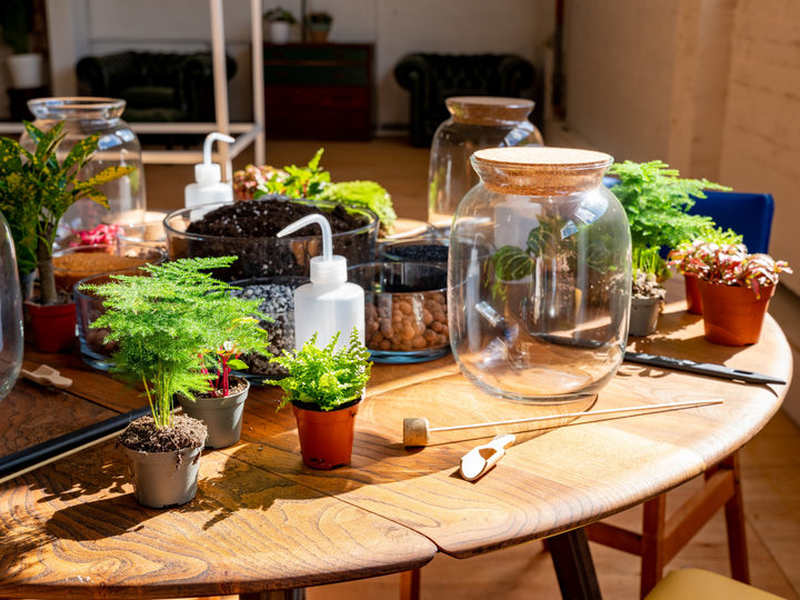 Terrarium Class Setup