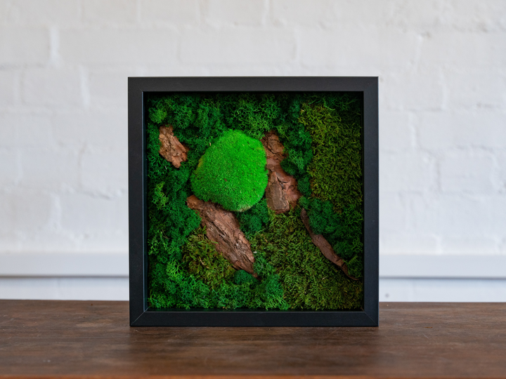 DIY Moss Frame Wall Art | Large