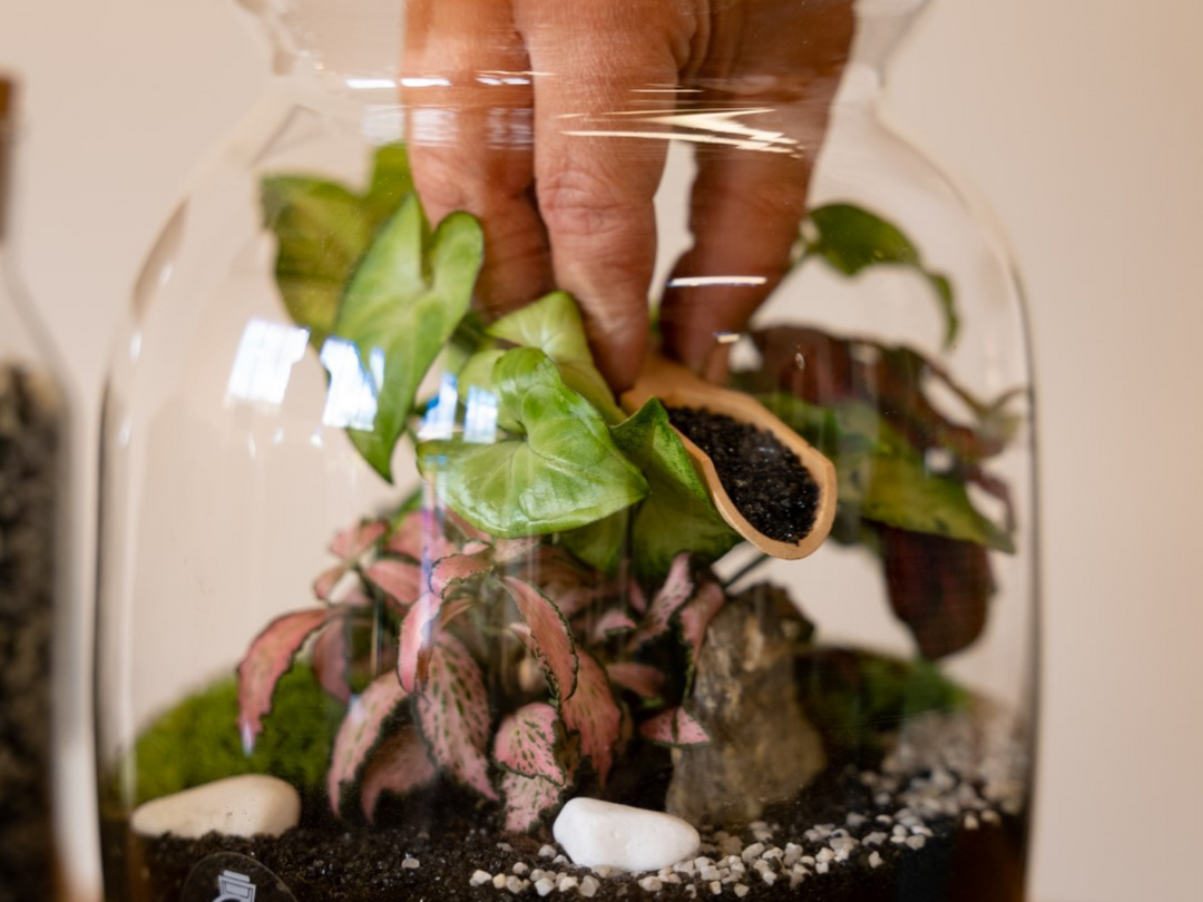 A hand reaching for a plant in a Tropical Glass jar.