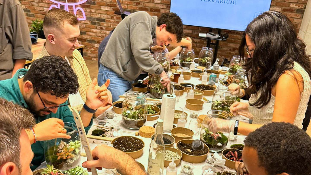 More Than Team-Building: A Terrarium Workshop Your Team Will Remember