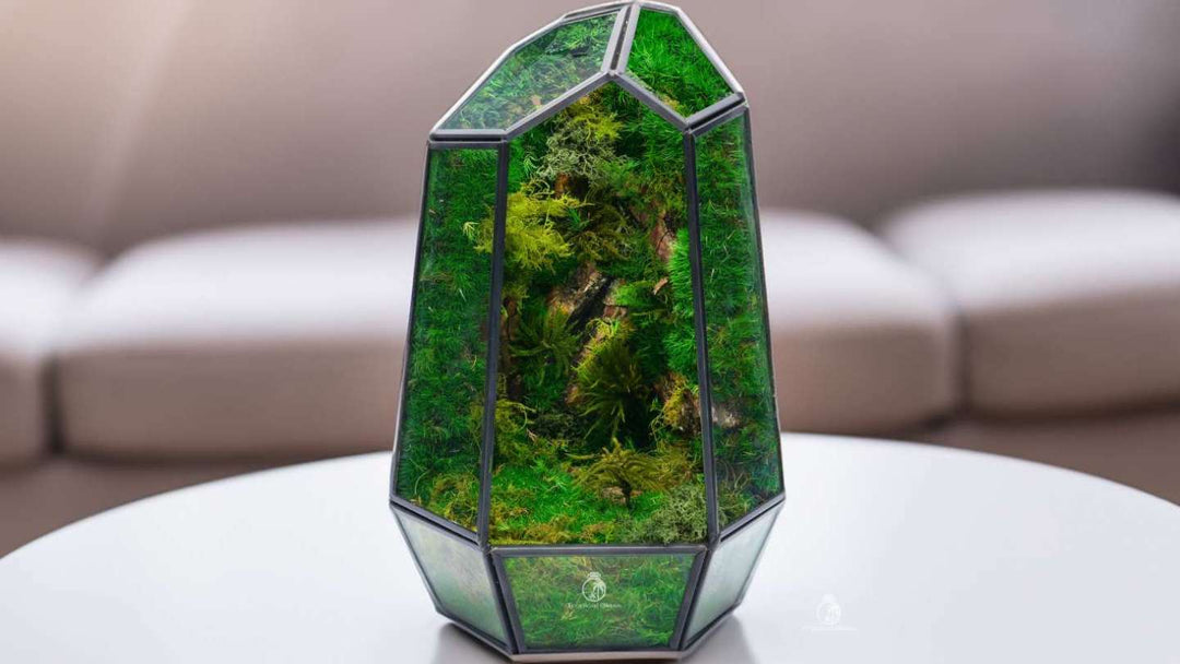 Preserved Terrarium vs. Living Terrarium – Which One Is Right for You?