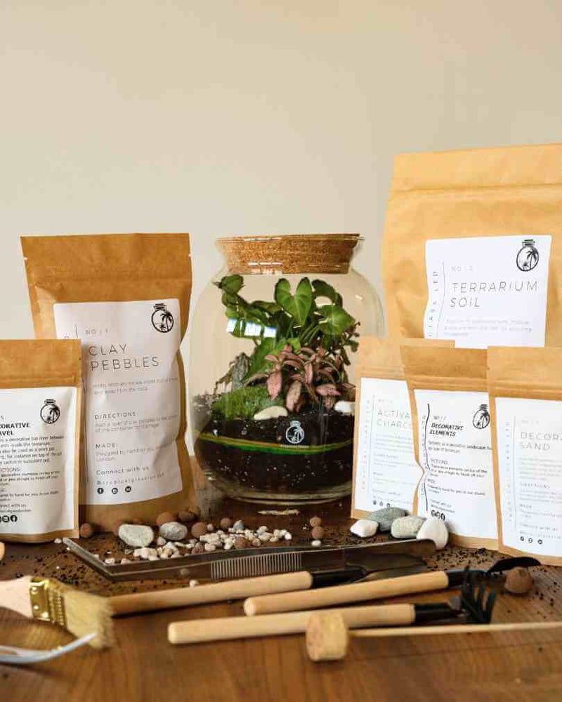 DIY Terrarium Kits