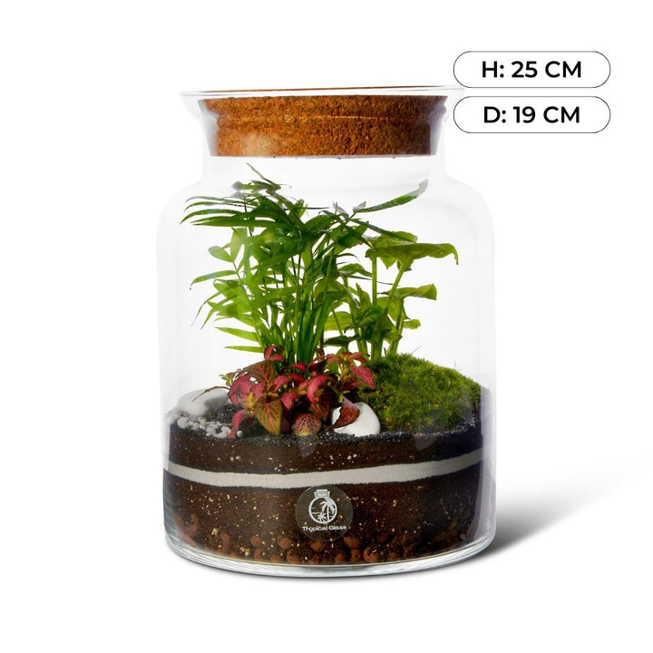 Closed DIY Terrarium Kit with 25 cm Container, Plants and Decorations  | 'Mallorca'