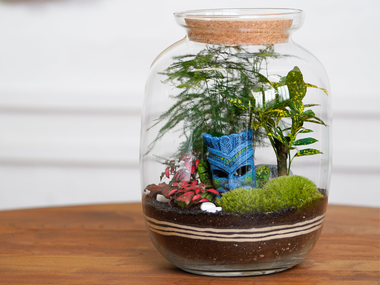 A beautifully arranged glass terrarium features vibrant green plants including Croton and Asparagus Fern, along with decorative moss and colorful pebbles. A blue tiki head adds a whimsical touch to the lush ecosystem inside the terrarium.