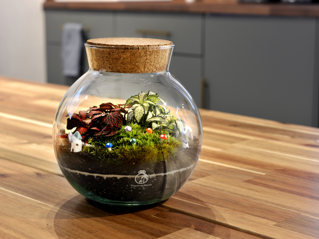 A Tropical Glass Closed DIY Terrarium Kit in 'Oxford' filled with plants on top of a wooden table.
