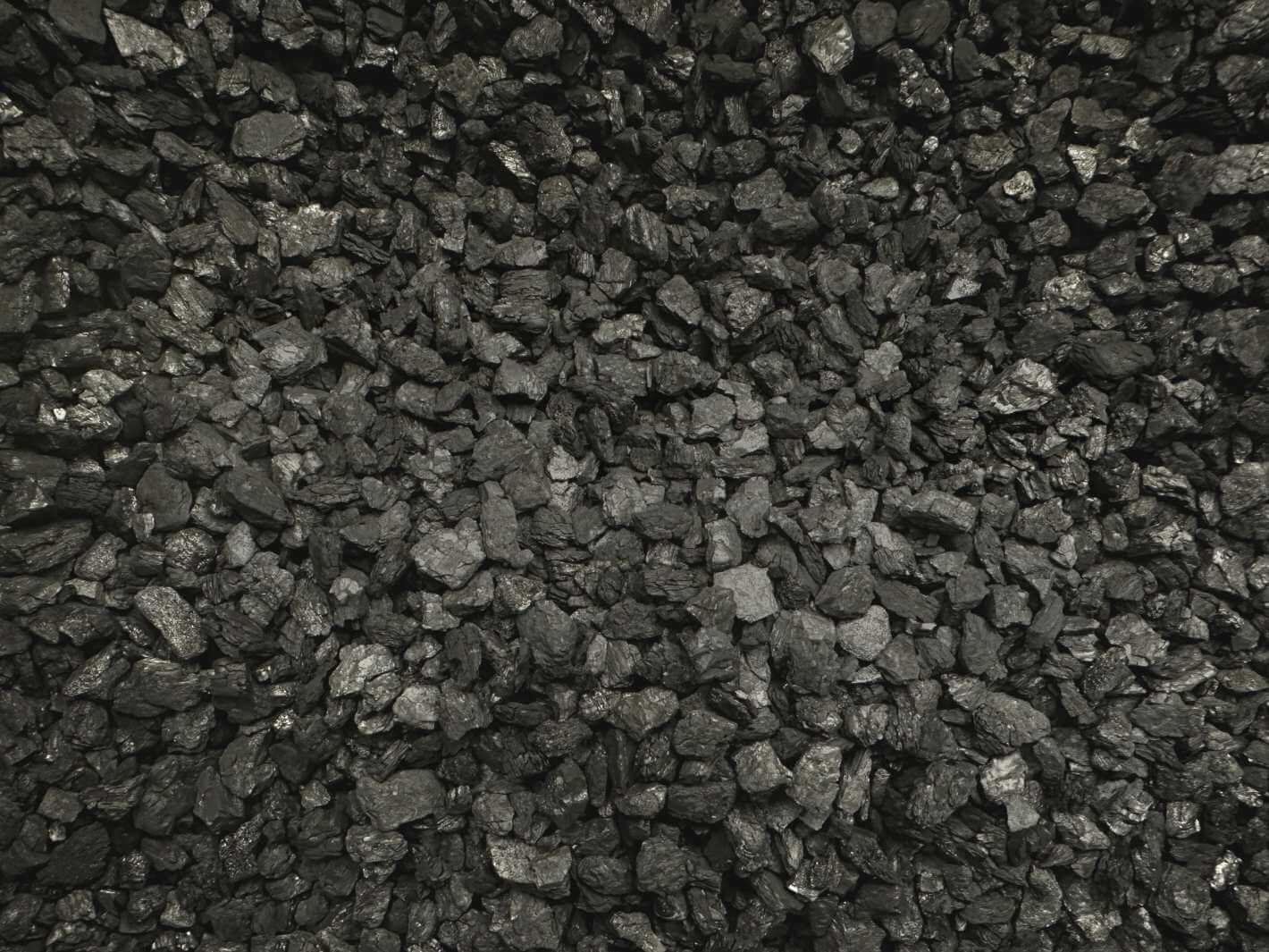 Activated Charcoal for terrariums, houseplants and aquariums