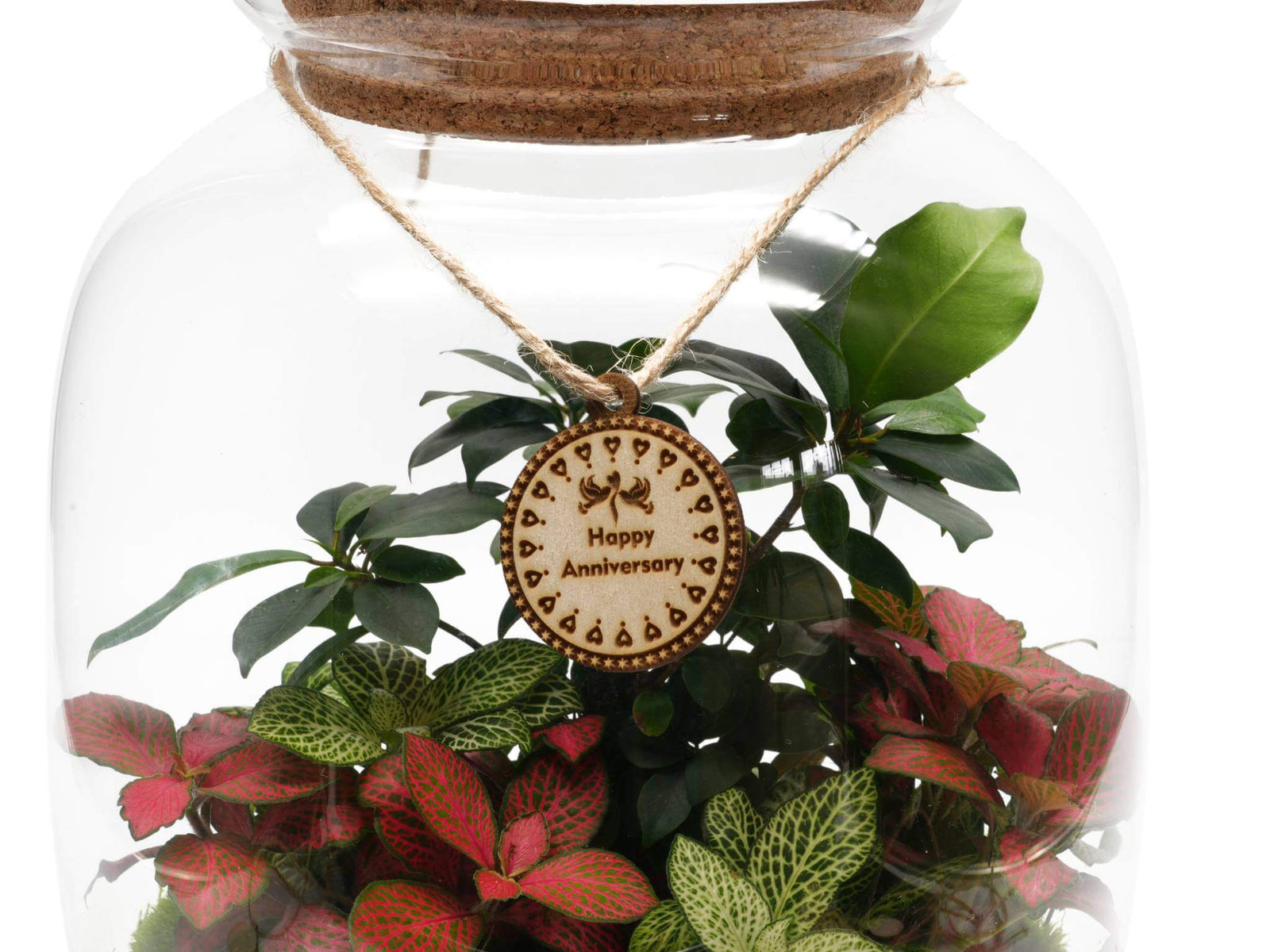 A closed glass terrarium filled with vibrant green and red plants features a wooden gift tag engraved with Happy Anniversary. The tag is attached with a natural twine string, adding a personalized touch to the botanical arrangement.