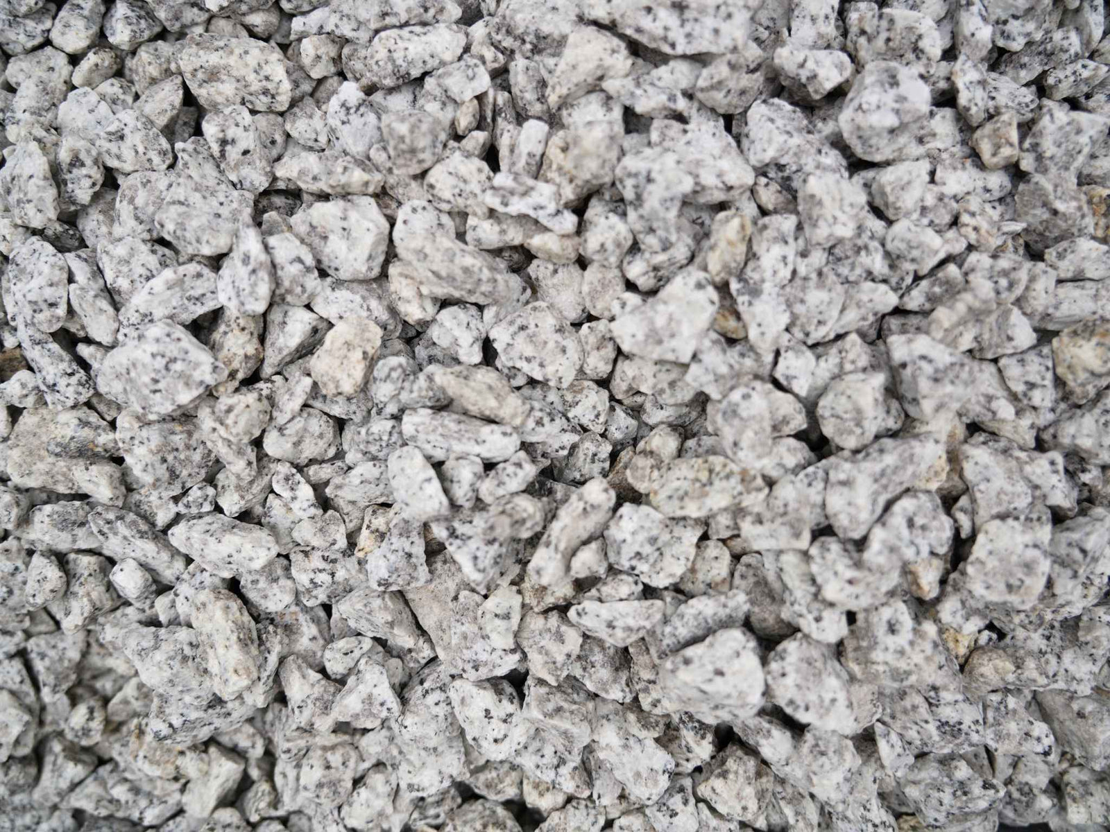 A close-up view of decorative black and white stone chippings, showcasing a mix of white stones with scattered black speckles.