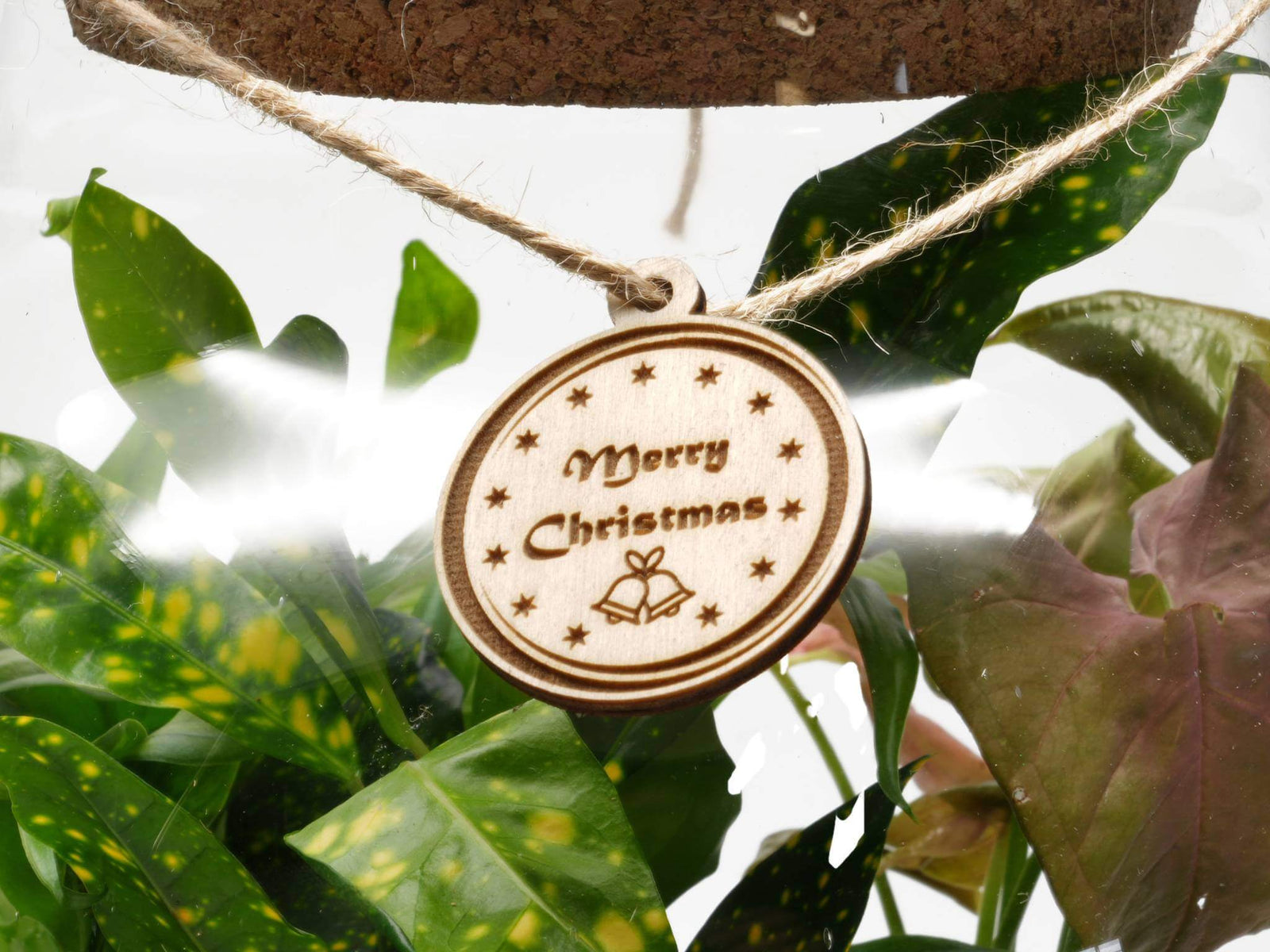 A wooden gift tag featuring the engraved message Merry Christmas is suspended by twine within a glass terrarium. Surrounding the tag are vibrant green plants.