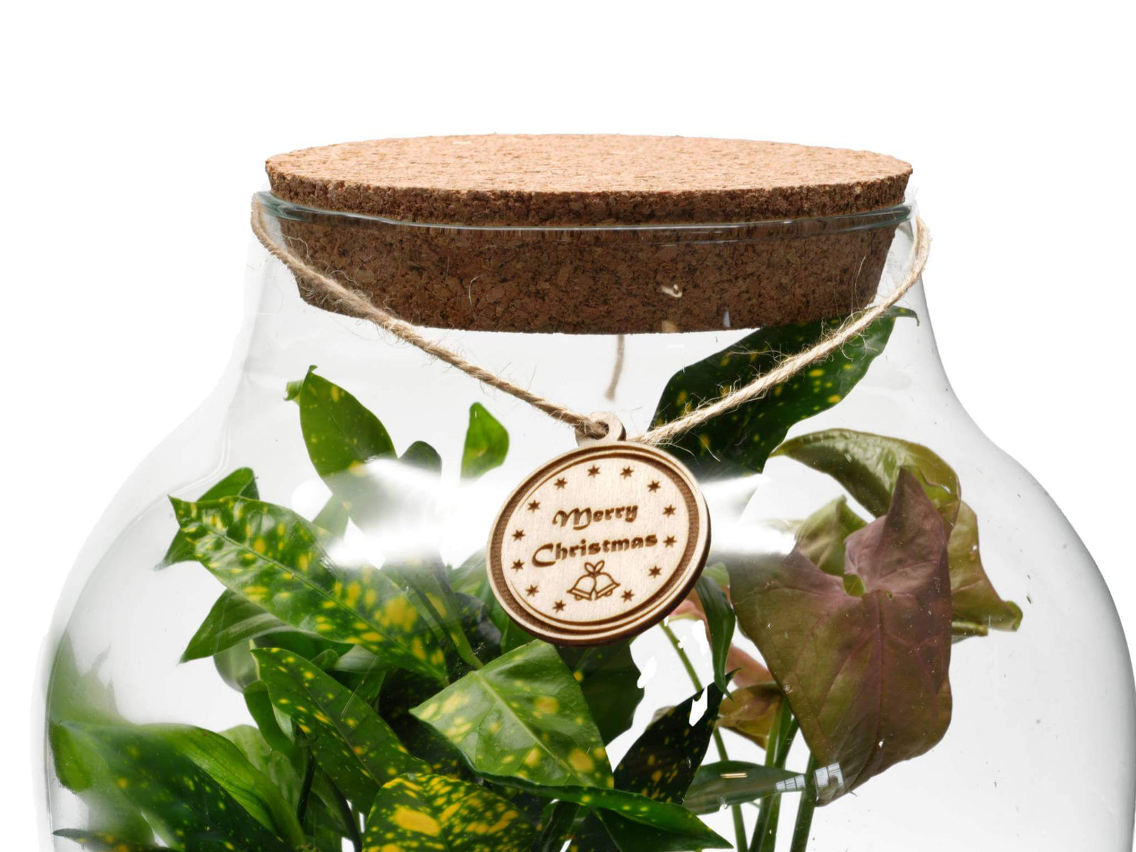 A close-up of a glass terrarium featuring lush green plants, topped with a cork lid. Attached to the terrarium is a wooden gift tag engraved with the text Merry Christmas, adding a festive touch to the display.